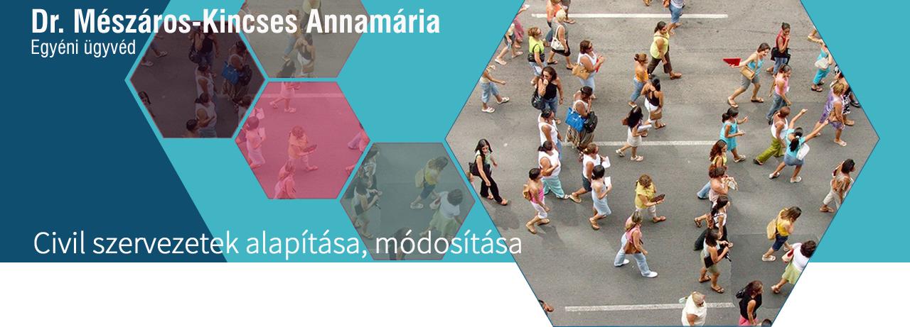 Civil szervezetek alapítása és módosítása