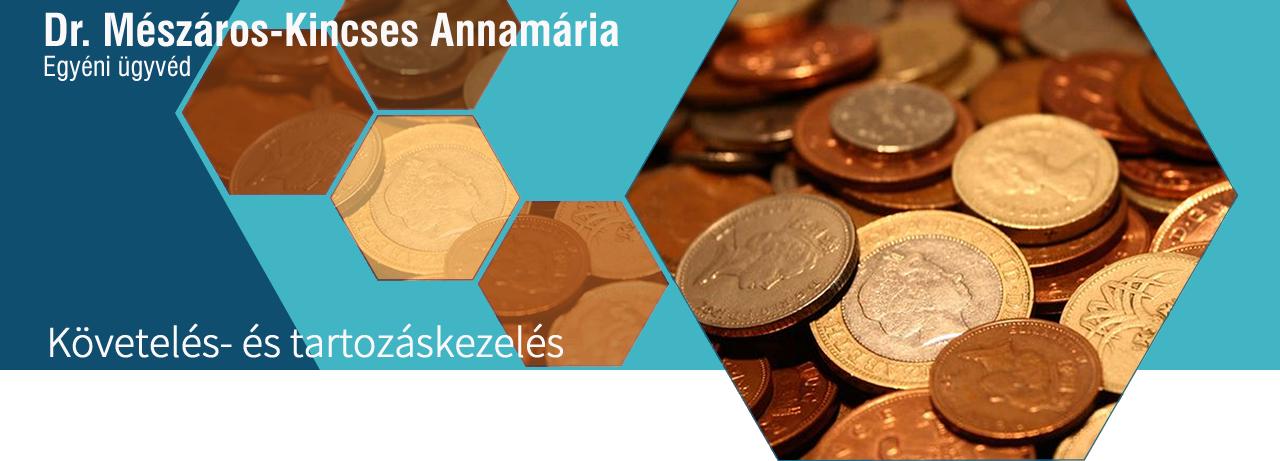 Pénzügyi követelés- és tartozáskezelés