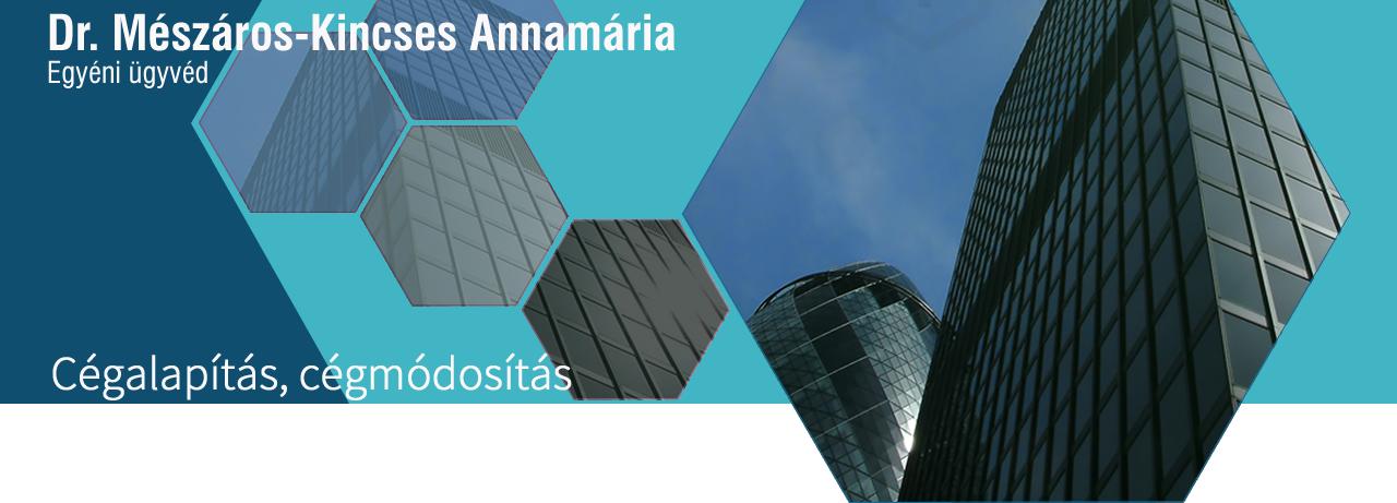 Cégalapítás, cégmódosítás