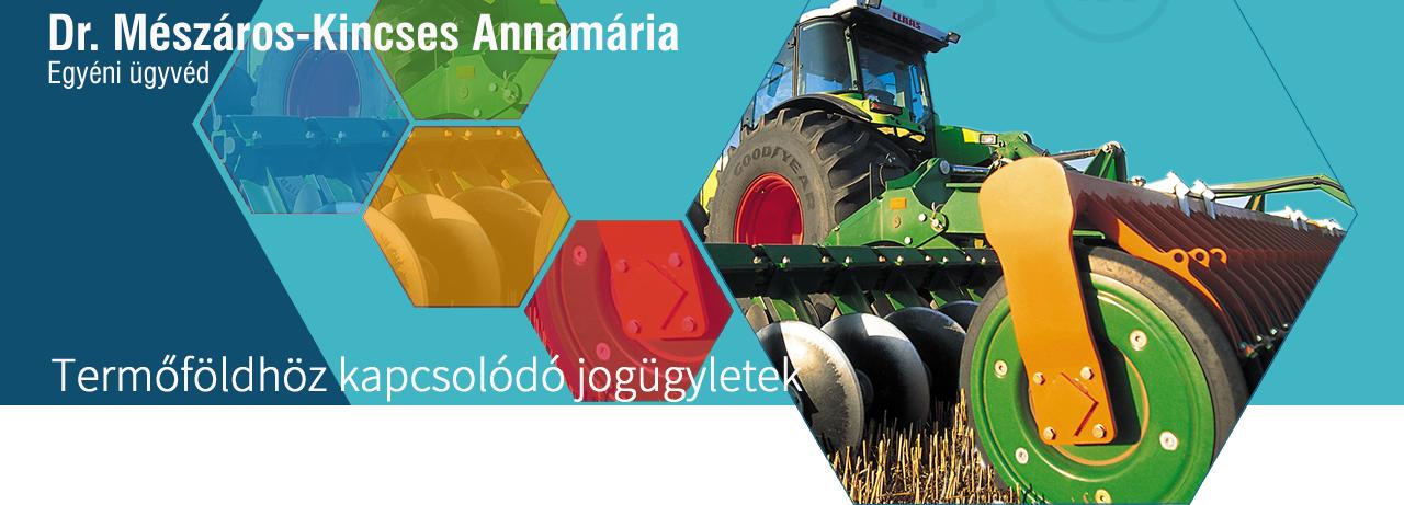 Termőföld adás-vételi ügyek